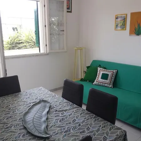 Casanguria Nardo