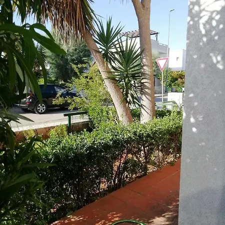 Casanguria * Nardo