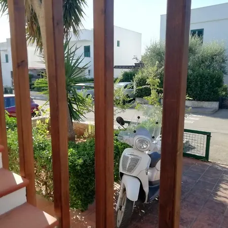 Casanguria Nardo