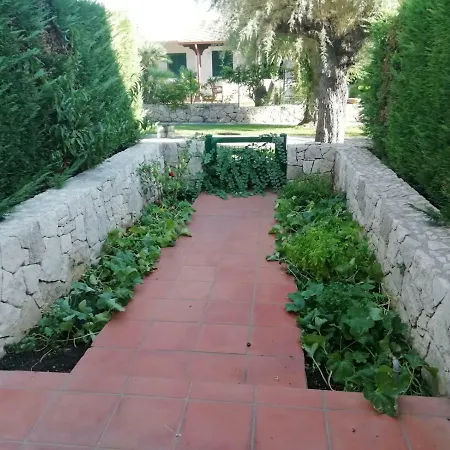 Casanguria * Nardo