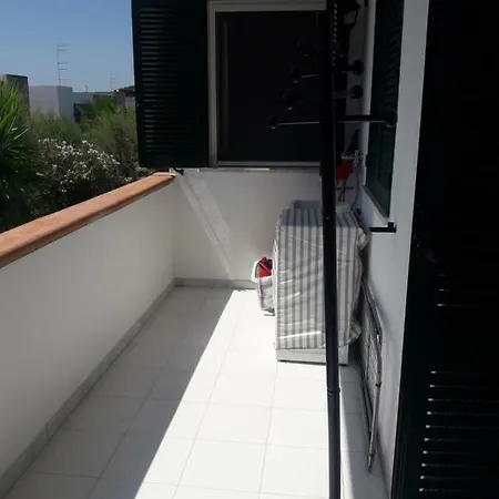 Casanguria Nardo